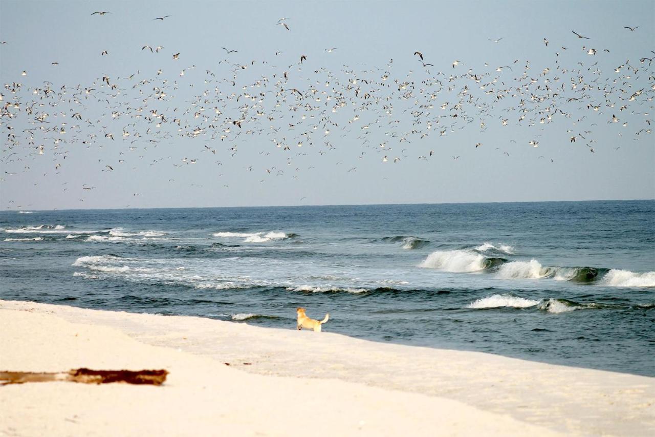 Beach'N'Sea Wohnung 3 Grömitz Εξωτερικό φωτογραφία